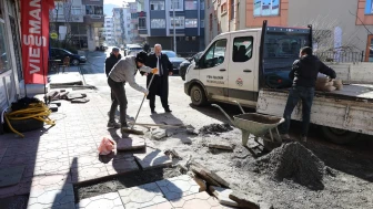 Arhavi Belediye Başkan'ı Vekili Özdemir Çalışmaları Yerinde İnceledi