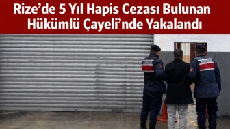 Rize’de 5 Yıl Hapis Cezası Bulunan Hükümlü Çayeli’nde Yakalandı