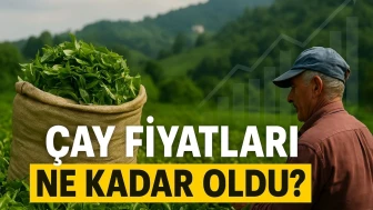 Çay Fiyatları Yükseliyor mu? Üretici Beklemede