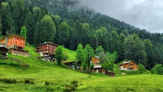 Rize Neden Bu Kadar Yeşil? Bilimsel Olarak Açıklıyoruz