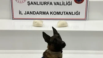 Şanlıurfa’da uyuşturucu operasyonu