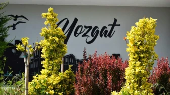 Anadolu'nun Kalbindeki Durak Yozgat'ta Gezilecek Yerler