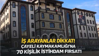 İş Arayanlar Dikkat! Çayeli Kaymakamlığı’na 70 Kişilik İstihdam Fırsatı