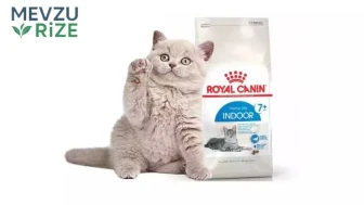 En İyi Kedi Maması Tavsiyesi ve Markaları 2026