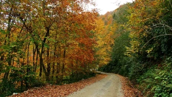 Rize'de gezilecek yerler nelerdir?