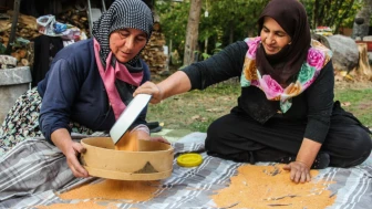 Rize’de İmece Kültürü Sürüyor mu? Karadeniz’in Dayanışma Geleneği Yaşatılıyor