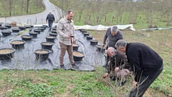 Ortahisar'da Aronya Üreticilerine Kış Budaması Eğitimi Verildi