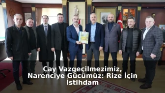 Çay Vazgeçilmezimiz, Narenciye Gücümüz: Rize İçin İstihdam