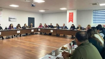 Kadına Yönelik Şiddetle Mücadelede İl Eylem Planı Hazırlıkları Başladı