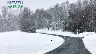 Şiddetli kar yağışı uyarısı: Tunceli, Bingöl ve Muş'a dikkat!