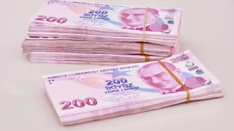 Mevduat faizlerinde son durum 100 bin TL’nin aylık getirisi belli oldu