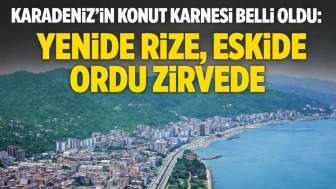 Karadeniz'in Konut Karnesi Belli Oldu: Yenide Rize, Eskide Ordu Zirvede