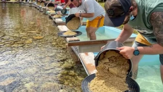 Altın fışkıran nehir...