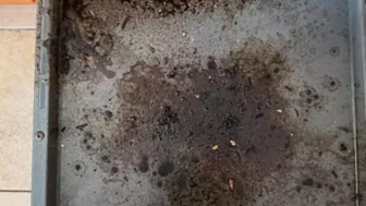 Fırın tepsisindeki yanıkları ovmaya son! Bir avuç yetiyor, lekeler kendiliğinden akıp gidiyor.