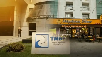 TMSF, büyük ölçekli şirketleri açık artırmaya sundu