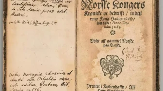 Haaland, Tarihe Damga Vuracak Alım Yaptı! Gol Makinesi Sahada!