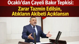 Ocaklı’dan Çayeli Bakır Tepkisi: Zarar Tazmin Edilsin, Atıkların Akıbeti Açıklansın