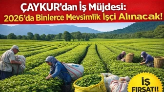 ÇAYKUR’dan iş müjdesi: 2026’da binlerce mevsimlik işçi alınacak!