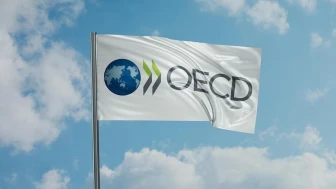 OECD Türkiye için enflasyon uyarısı yaptı
