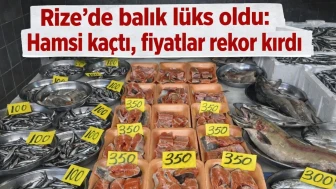 Rize’de balık lüks oldu: Hamsi kaçtı, fiyatlar rekor kırdı