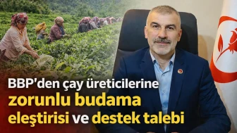 BBP'den çay üreticilerine zorunlu budama eleştirisi ve destek talebi