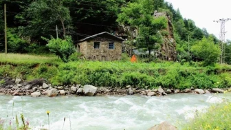 Rize’de HES’ler Doğayı Gerçekten Mahvediyor Mu?