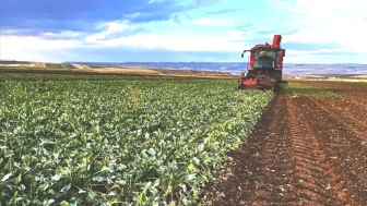 Tarım Sektörüne Yenilikçi Destek: Çiftçilere 310 TL'lik Mazot ve Gübre Yardımı!