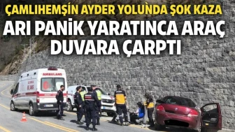 Çamlıhemşin Ayder Yolunda Şok Kaza: Arı Panik Yaratınca Araç Duvara Çarptı