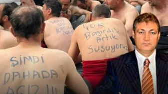 Doruk Madencilik Kimin, Sahibi Kim AKP'li mi?