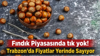 Fındık Piyasasında tık yok! | Trabzon'da Fiyatlar Yerinde Sayıyor