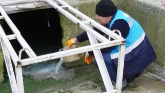 Rize Belediyesi, Sivrisineklerle Mücadelede Yaz Öncesi İlaçlama Çalışmalarını Hızlandırdı