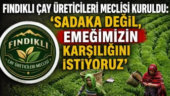 Fındıklı Çay Üreticileri Meclisi kuruldu: 'Sadaka değil, emeğimizin karşılığını istiyoruz'