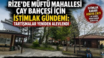 Rize’de Müftü Mahallesi Çay Bahçesi İçin İstimlak Gündemi: Tartışmalar Yeniden Alevlendi
