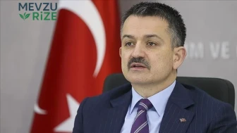 Bekir Pakdemirli kimdir, ne iş yapıyor?