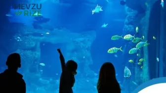 Emaar Akvaryum'un 2026 Giriş Fiyatları ve Yıllık Üyelik Ücretleri Hakkında Bilgiler!