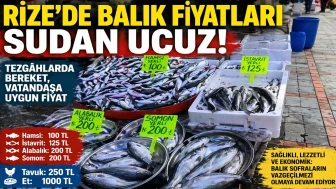 Rize’de Balık Fiyatları Sudan Ucuz: Tezgâhlarda Bereket, Vatandaşa Uygun Fiyat