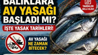 BALIKLARA AV YASAĞI BAŞLADI MI? Av Yasağı Ne Zaman Bitecek?