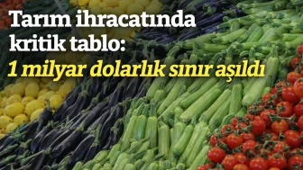 Tarım ihracatında kritik tablo: 1 milyar dolarlık sınır aşıldı