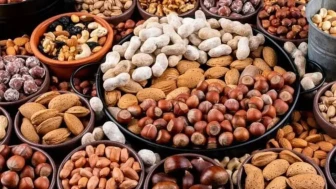 Türkiye'nin En İyi Kuruyemişleri: Dünya Çapında Tanınan Lezzetler