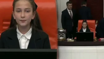 İnci Yıldız Şentürk: TBMM'nin Sesi Olan Başarılı İsim