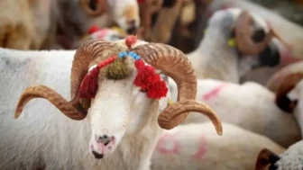 Kurban Bayramı 2026 kaç gün sürecek, tatil ne zaman?