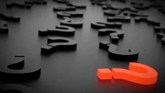 Papuckonagi Hakkında Gerçekler: 2026 Yılı için Değerlendirme ve Kullanıcı Yorumları