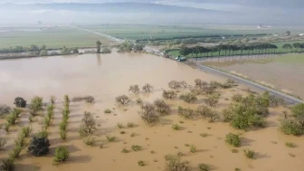 Bülbül: Koçarlı afet bölgesi ilan edilsin