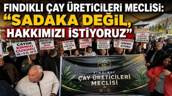 Fındıklı Çay Üreticileri Meclisi: “Sadaka Değil, Hakkımızı İstiyoruz”