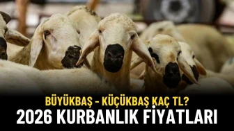 2026 Kurbanlık Fiyatları Belli Oldu! Büyükbaş ve Küçükbaş Kurbanlık Kaç TL?