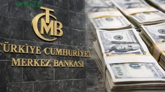 Merkez Bankası Rezervleri, 161,6 Milyar Dolar Seviyesine Ulaştı!