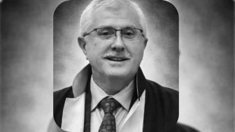 Akademisyen Prof. Dr. Mehmet Kutlu Kimdir, Neden Öldü?