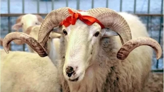 Hayatınıza 9 günlük tatil rüzgârı mı geliyor? İşte detaylar!