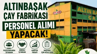 Altınbaşak Çay Fabrikası Personel Alımı Yapacak