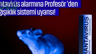 Hantavirüs alarmına Profesör ’den bağışıklık sistemi uyarısı!